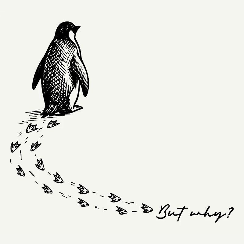 But why? Penguin Meme Footprints Doodle Doodle