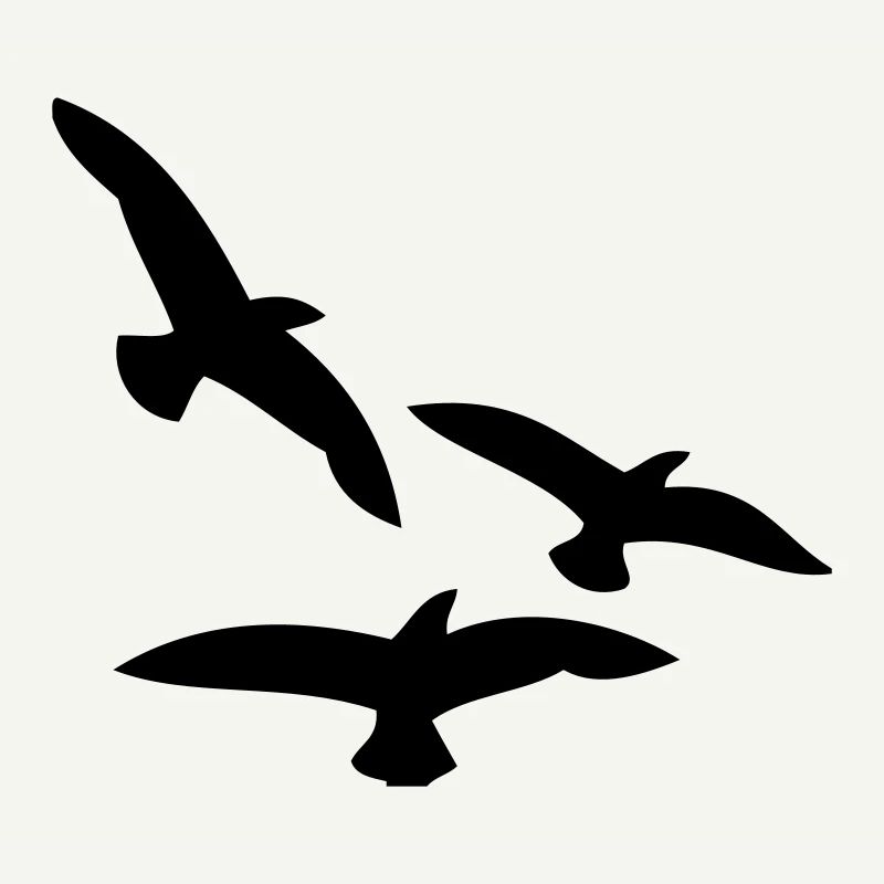 Oiseaux
