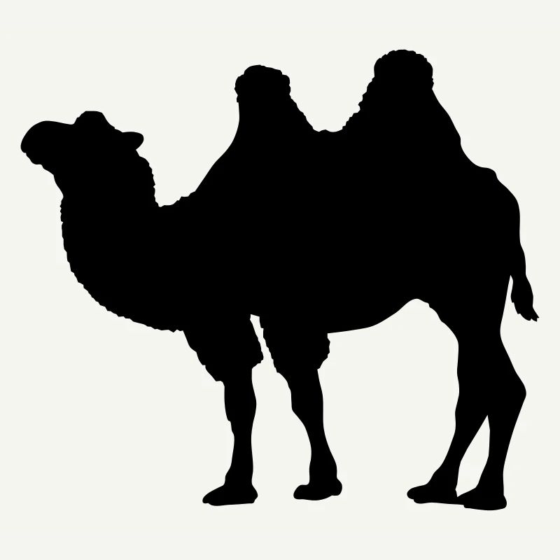Kamel
