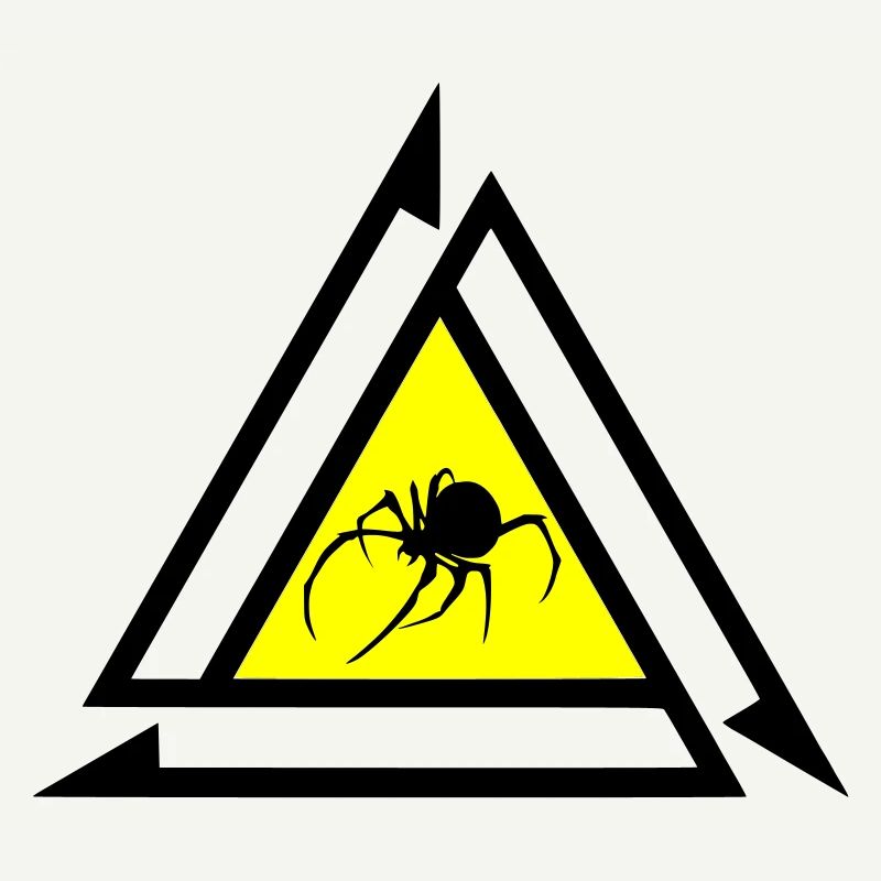 Spinne