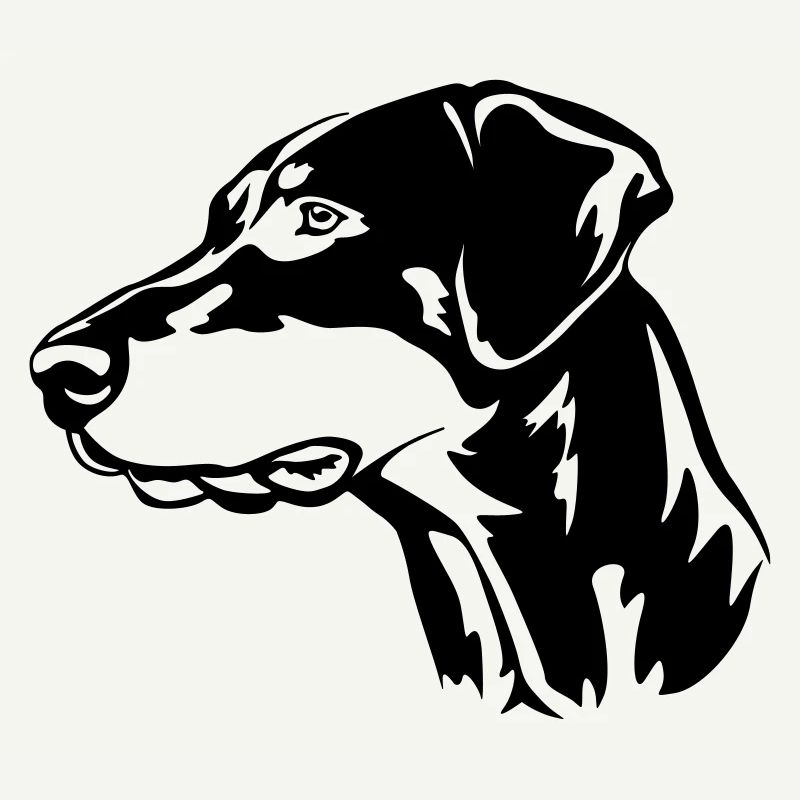Doberman Head