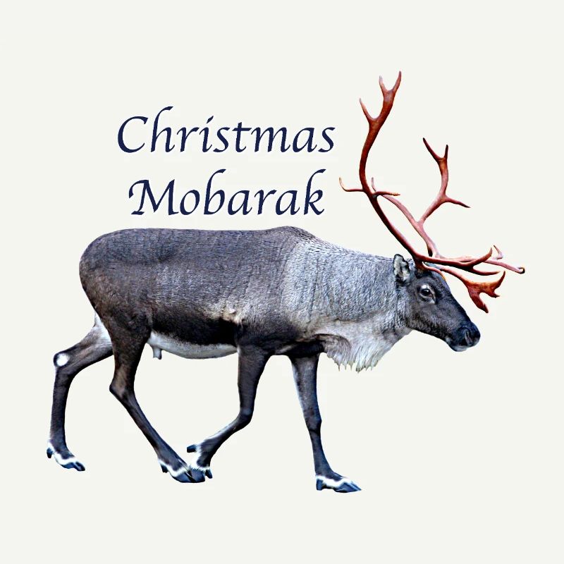 Noël Mobarak