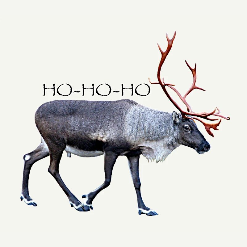 HOHOHO