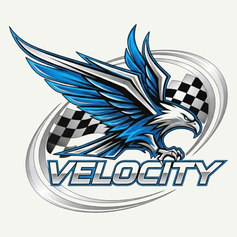 Speed Eagle Racing Design