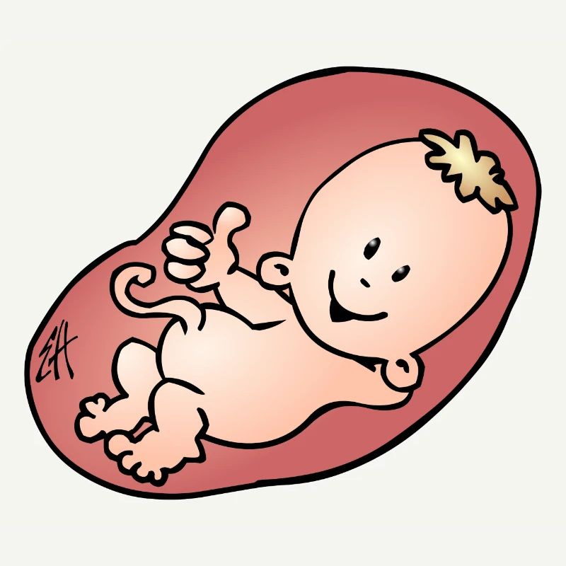 Enceinte - grossesse