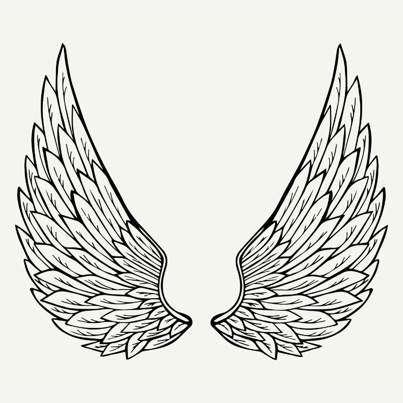 ailes d'anges