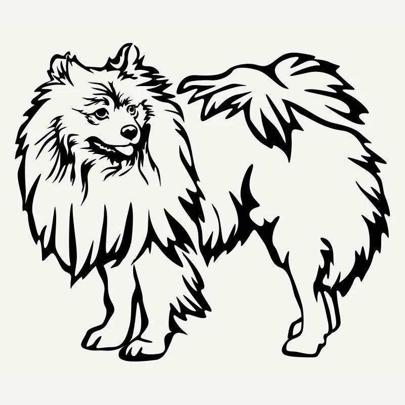 Spitz