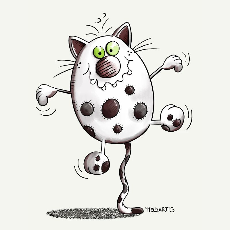 Fitnessrum Katt