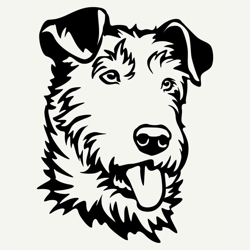 Irish Terrier Kopf