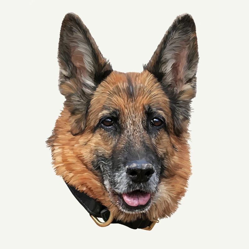 Schäferhund