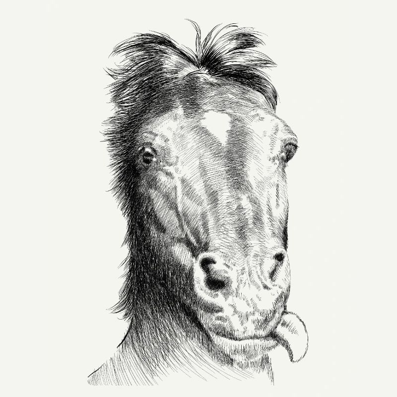 Pferd