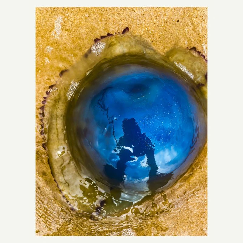 Méduse bleue avec Reflet sur Le Sable "Moi et mon Yelly