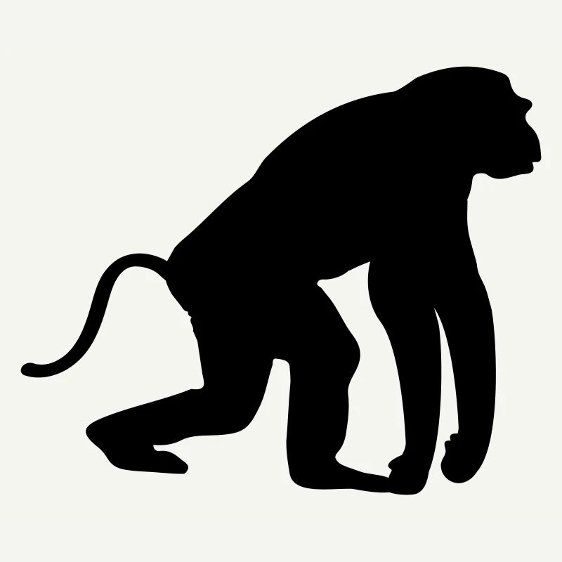 Singe