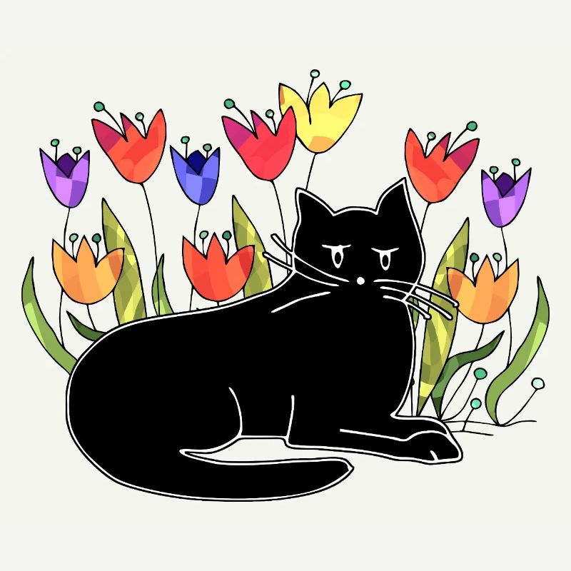Katze