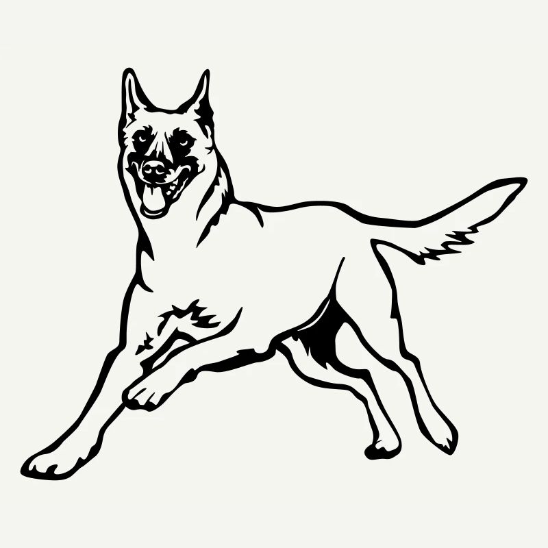 Malinois