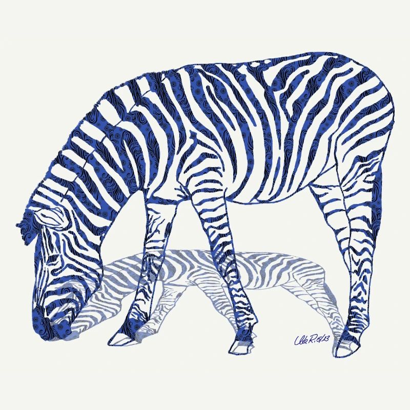 Zebra with zebra shadow