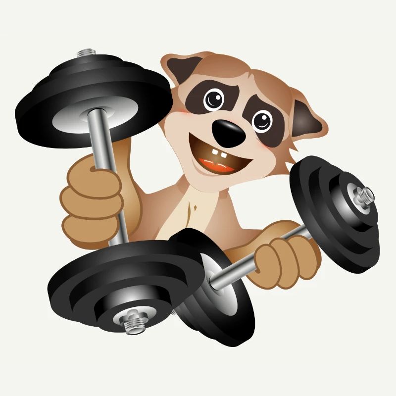 Bodybuilder Erdmännchen mit Hanteln beim Training