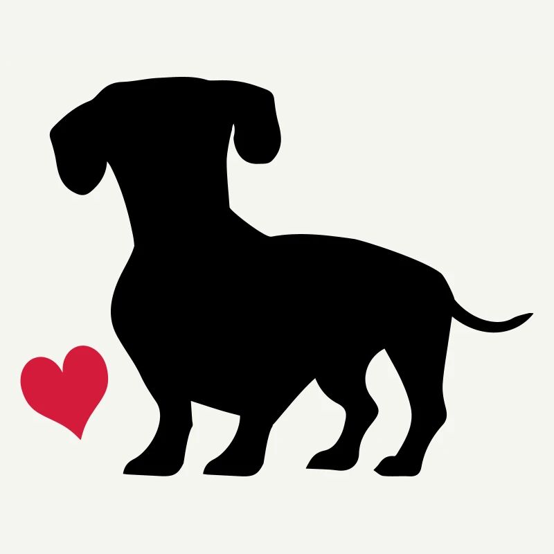 dachshund