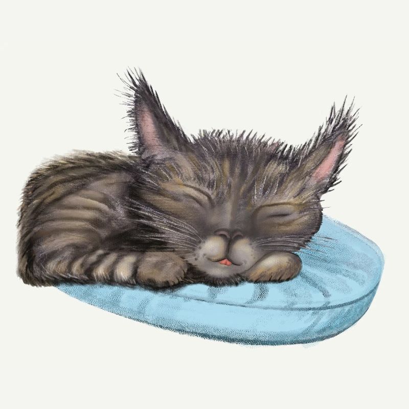 Sleeping Cat