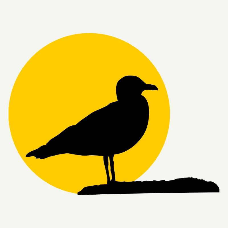Mouette devant le soleil