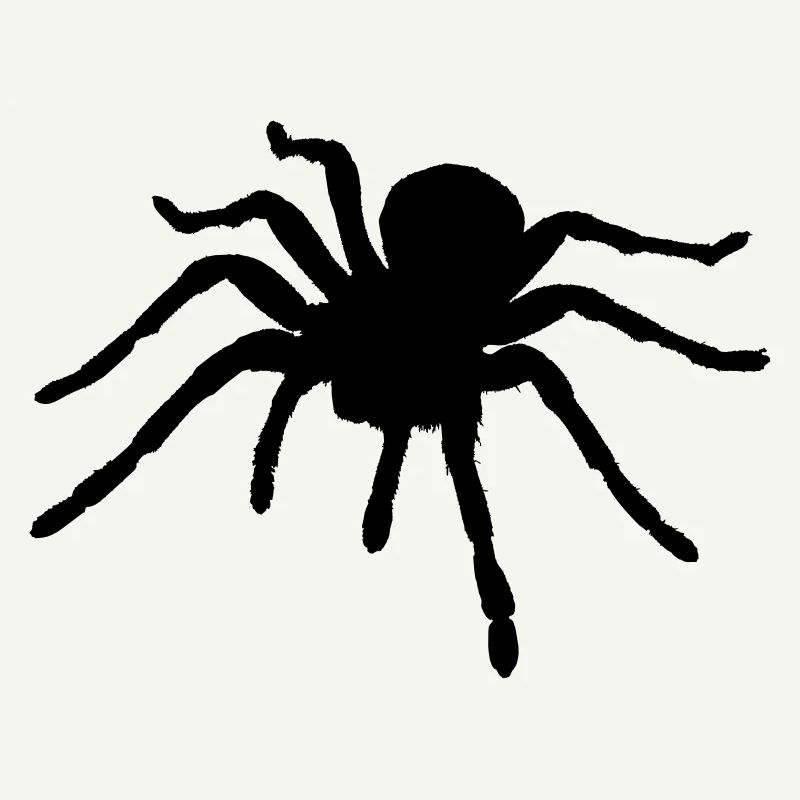 Spider - Araignée - Ragno - Araña