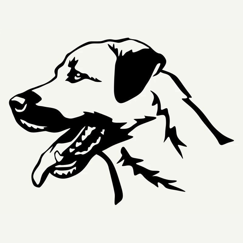 Kangal head