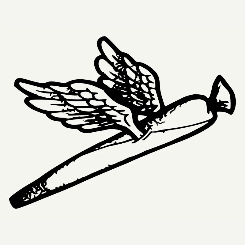 We fly so High