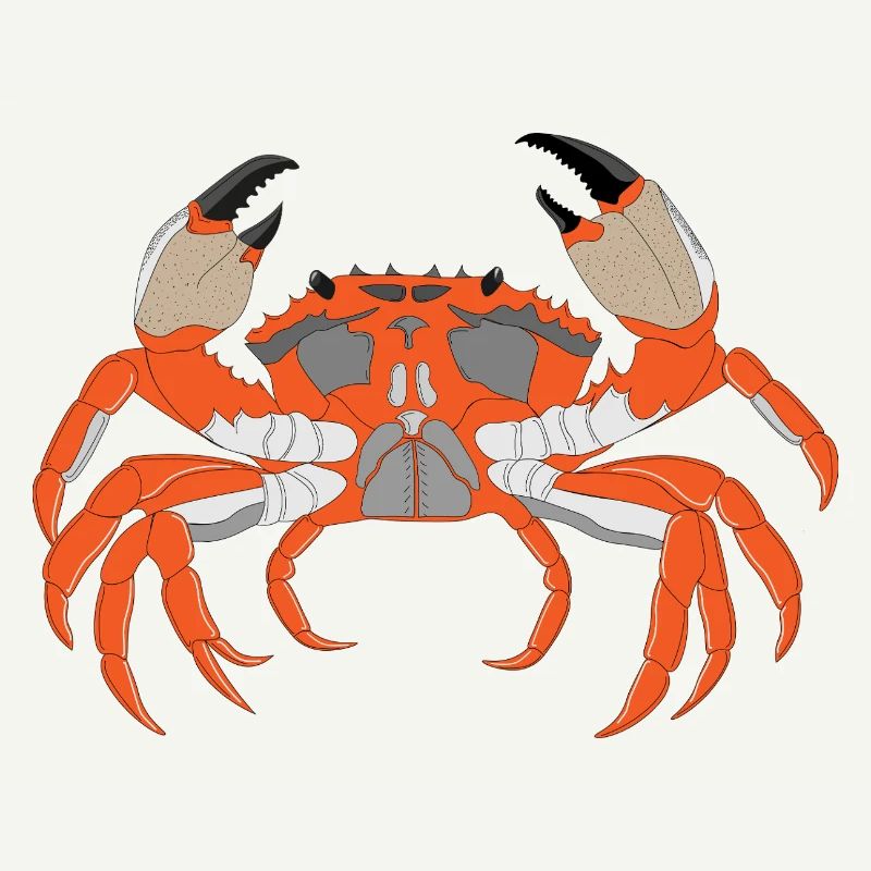 Crab Print