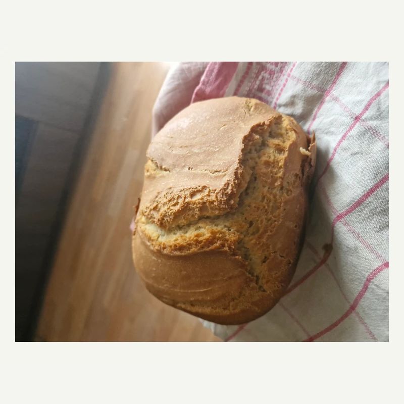 Golden crust rustic bread