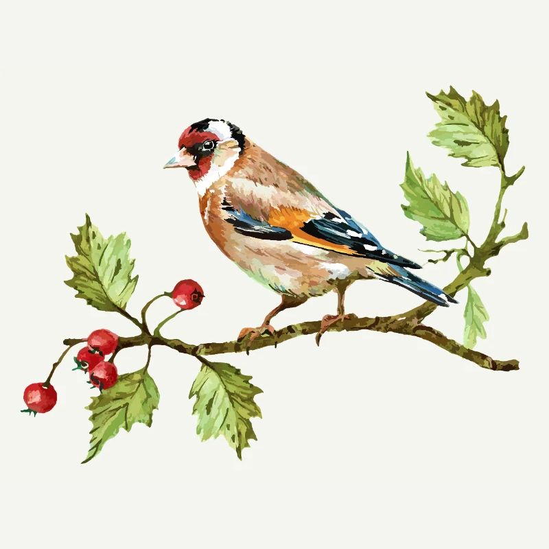 Bunter Vogel