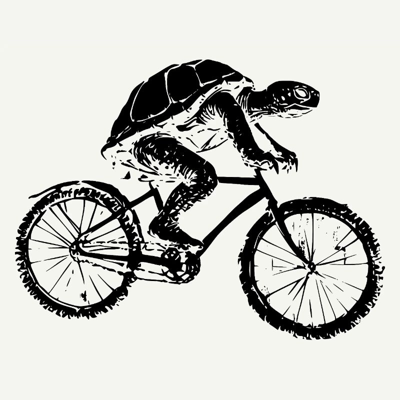 Bicycle Turtle