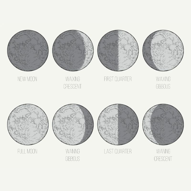 Monochrome Moon Phases Grid