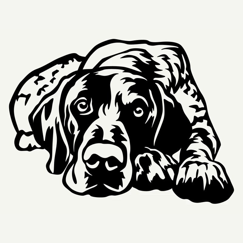 German Shorthaired Pointer