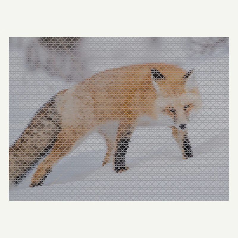 geometric fox