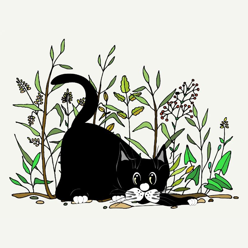 chat