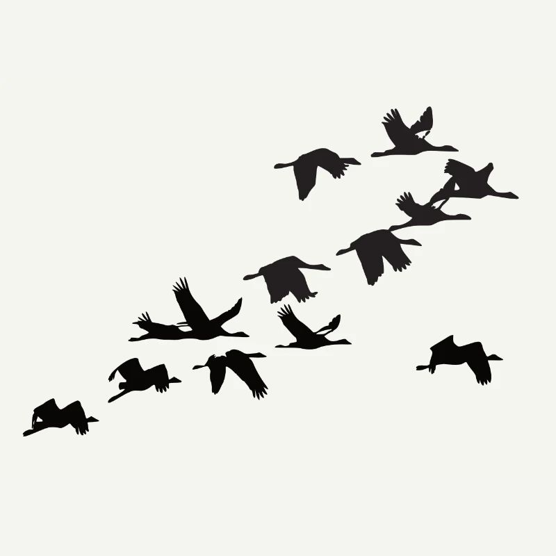cranes