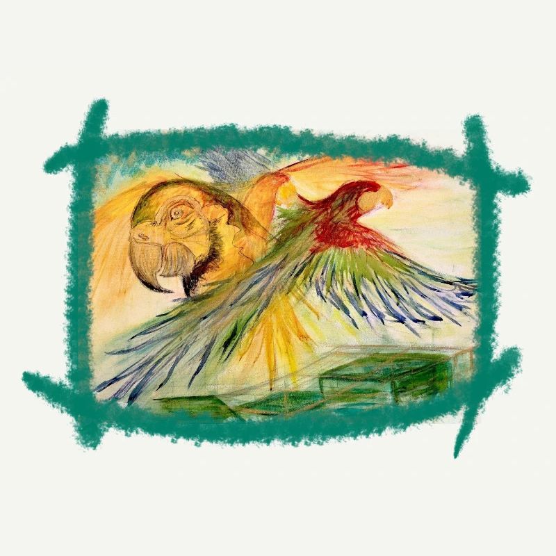 Aras au-dessus de la forêt tropicale