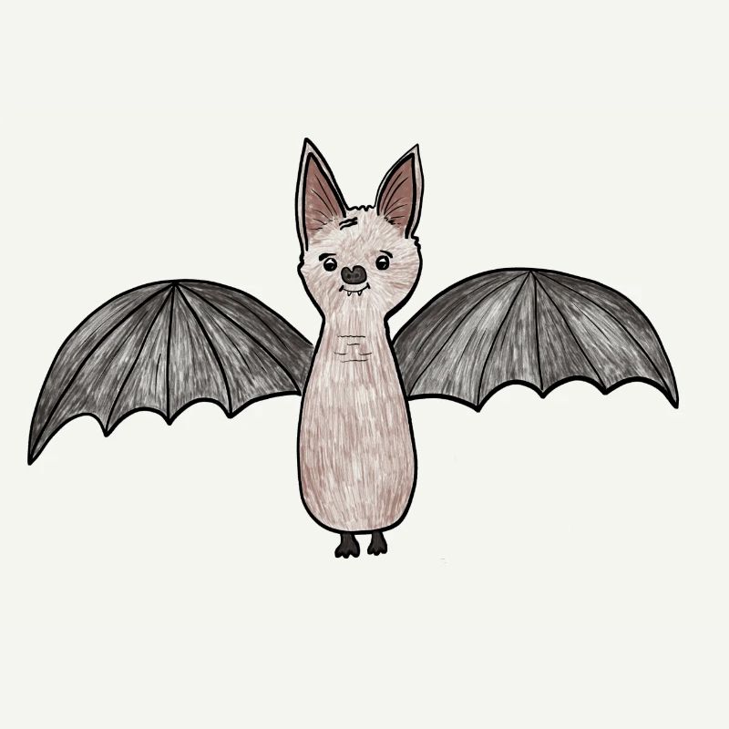 Bat Phantom Illustration