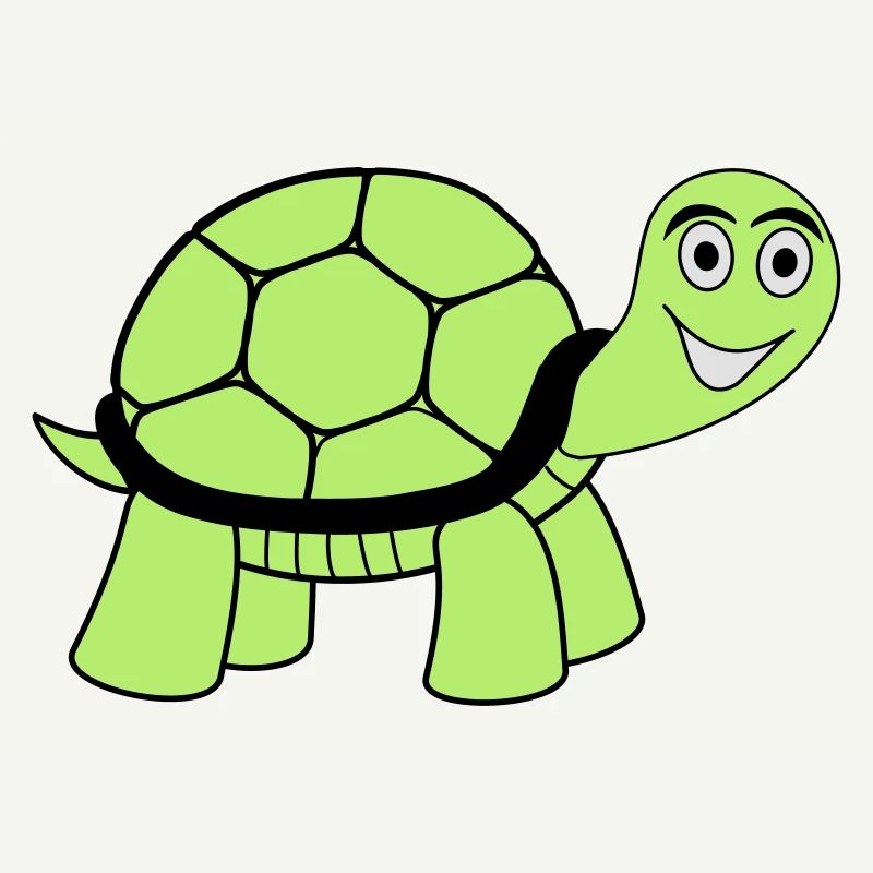 turtle