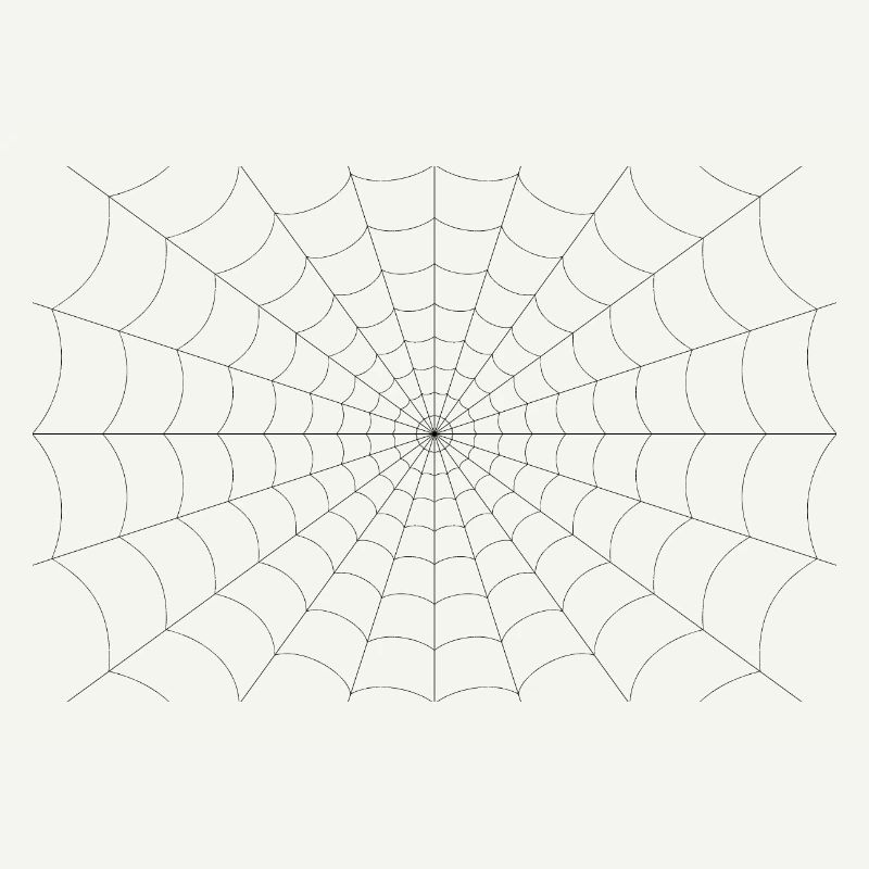 Spider web