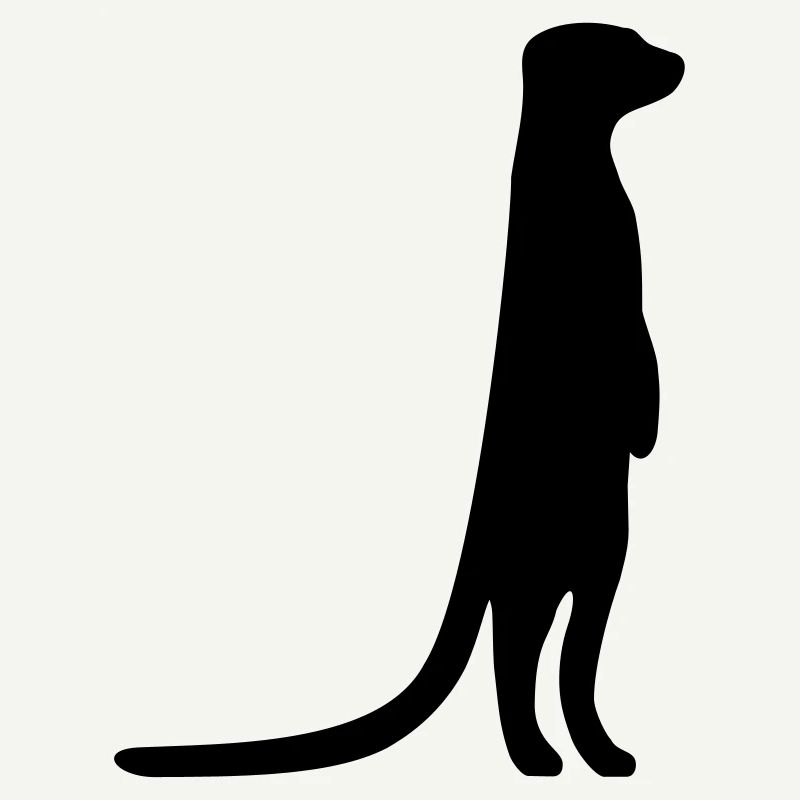 witziges Erdmännchen neugierig tierisch
