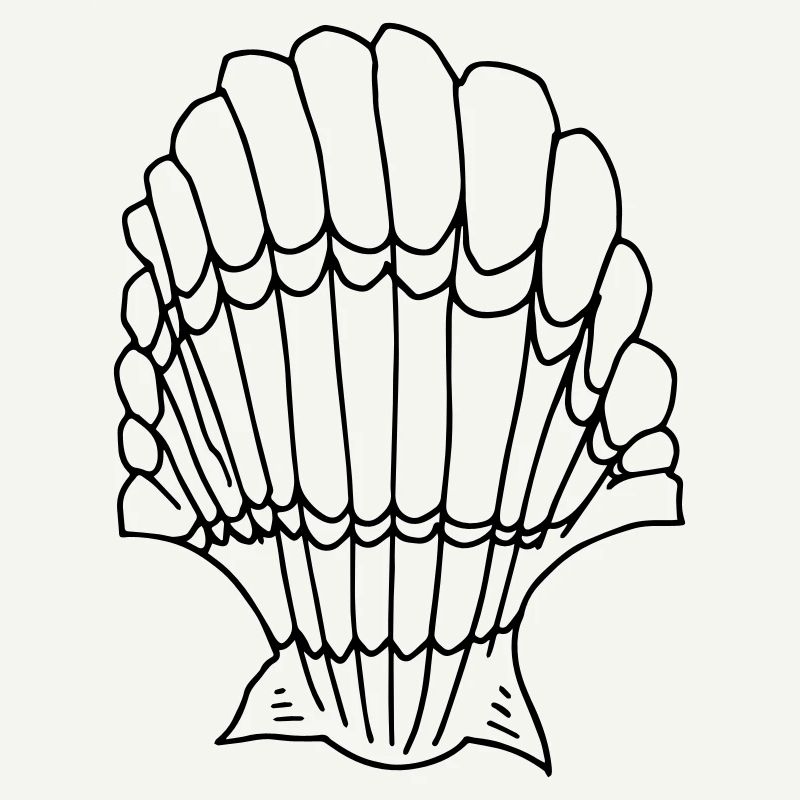 shell
