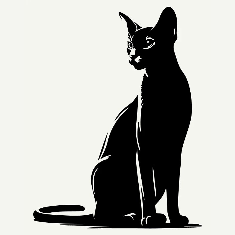 Chat abyssin