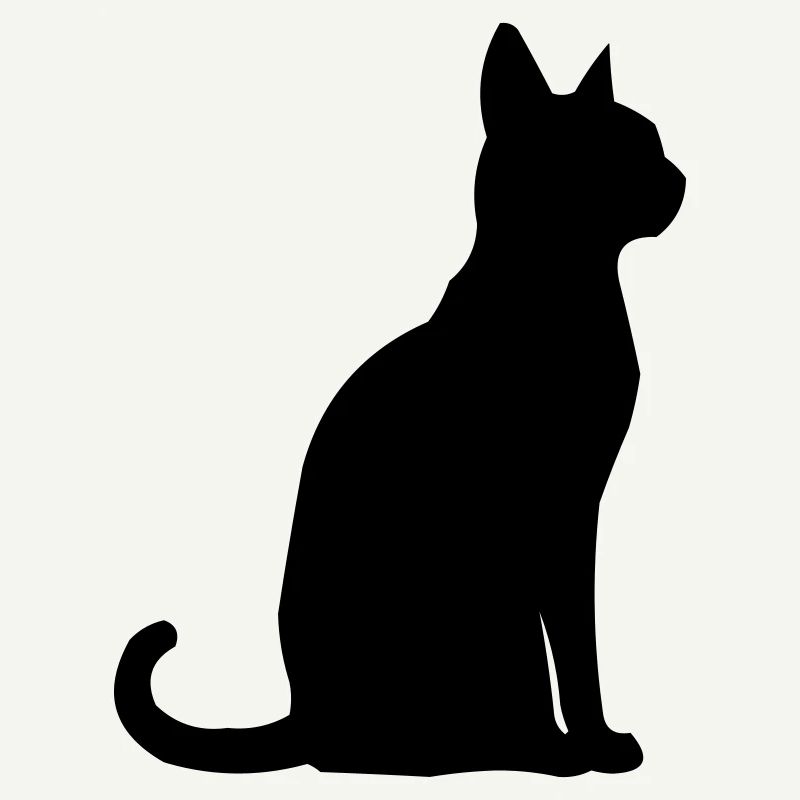 Cat Animal