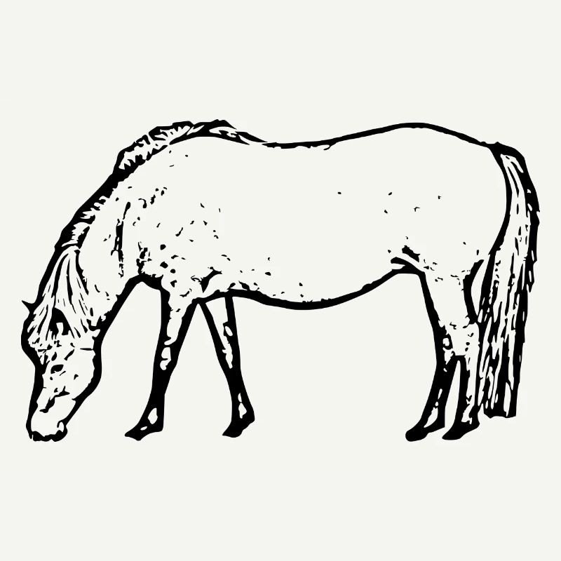 Cheval noir