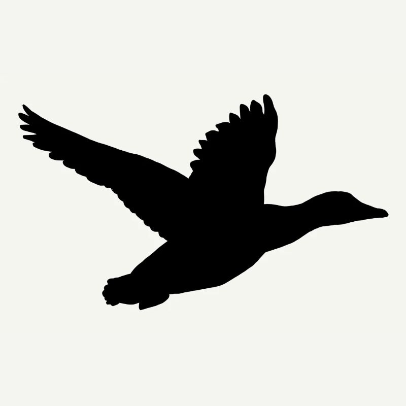 Duck in flight
