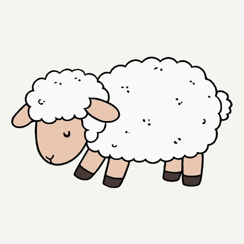Sheep