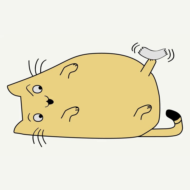 Cat with tape