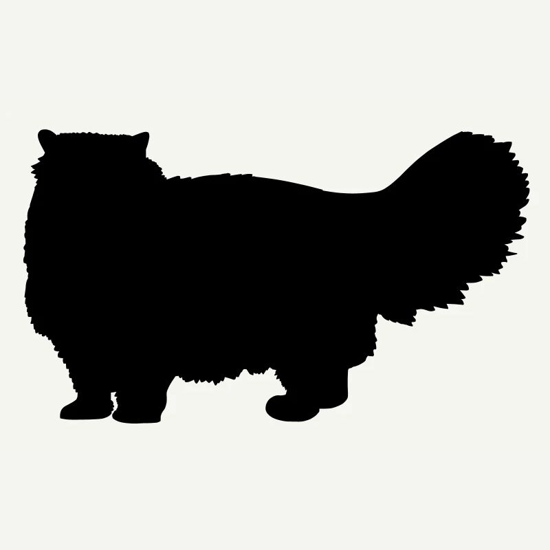 Chat persan