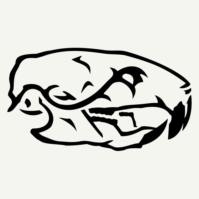 Rat Skull Skull